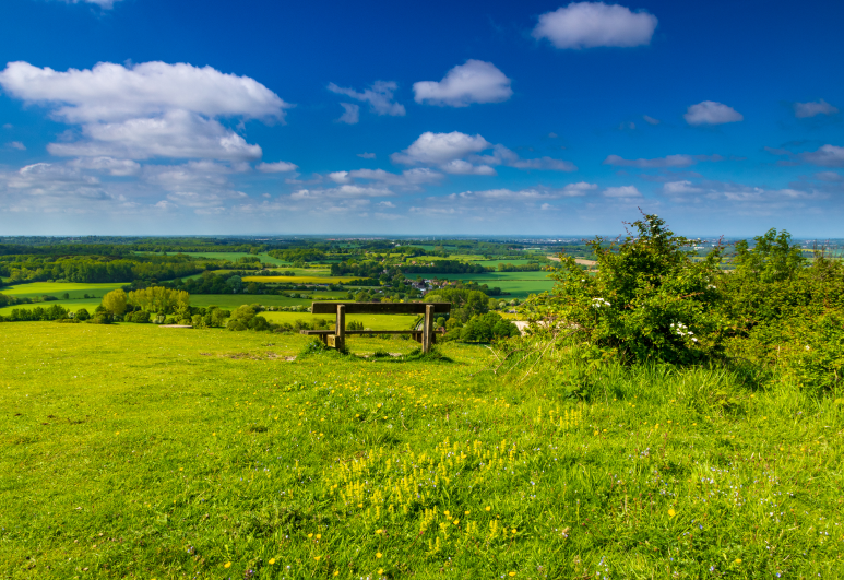 horsmonden-landscape