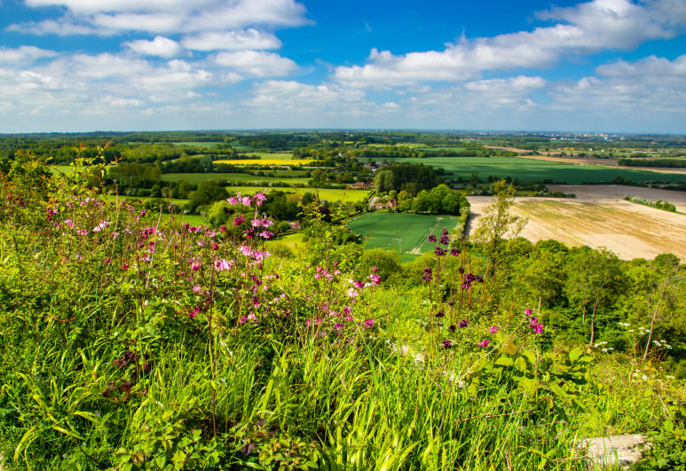 matfield-landscape